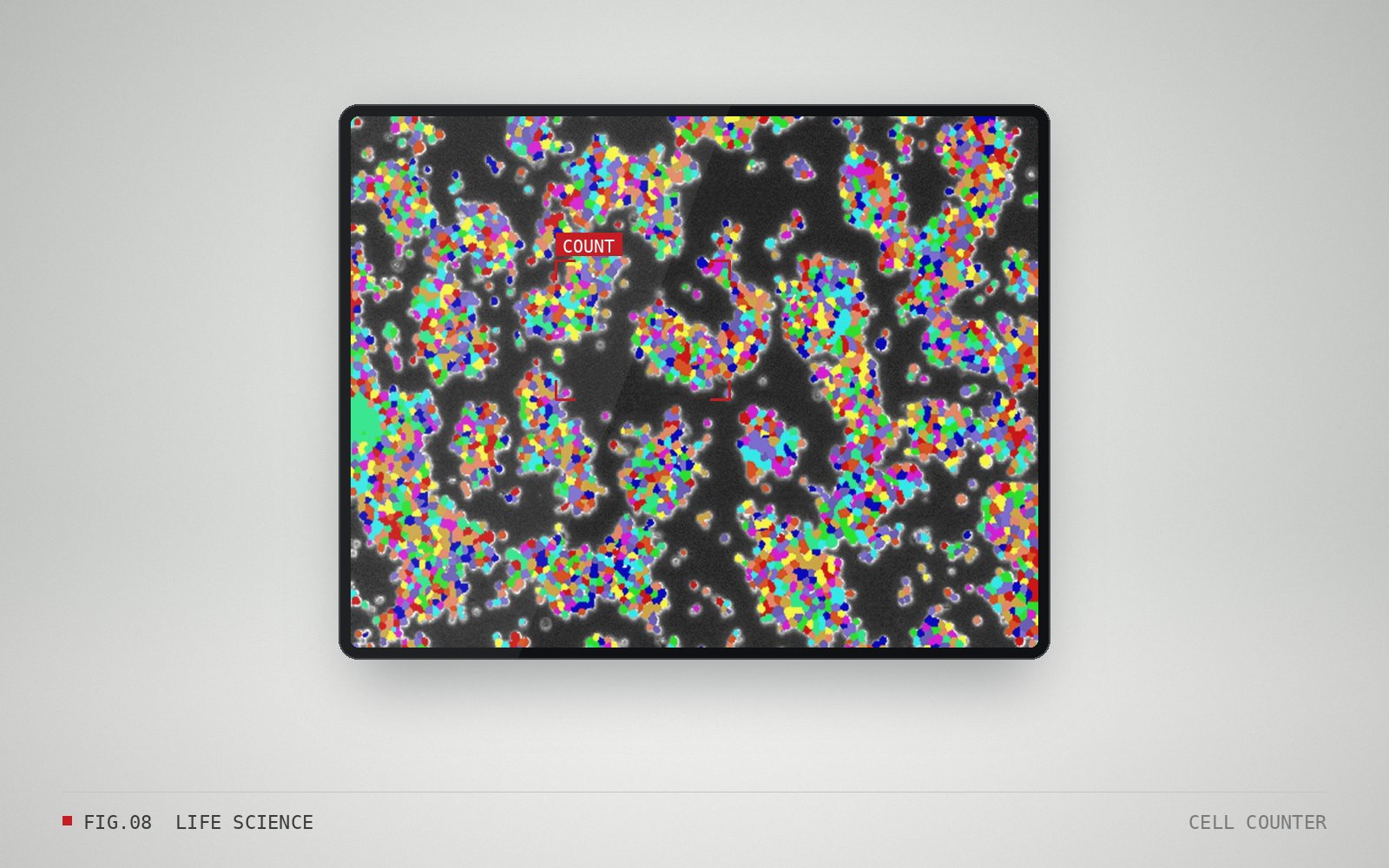 Cell Counter